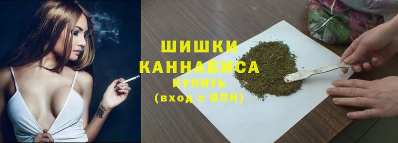 Бошки марихуана SATIVA & INDICA  купить наркоту  kraken ссылки  Губкин 